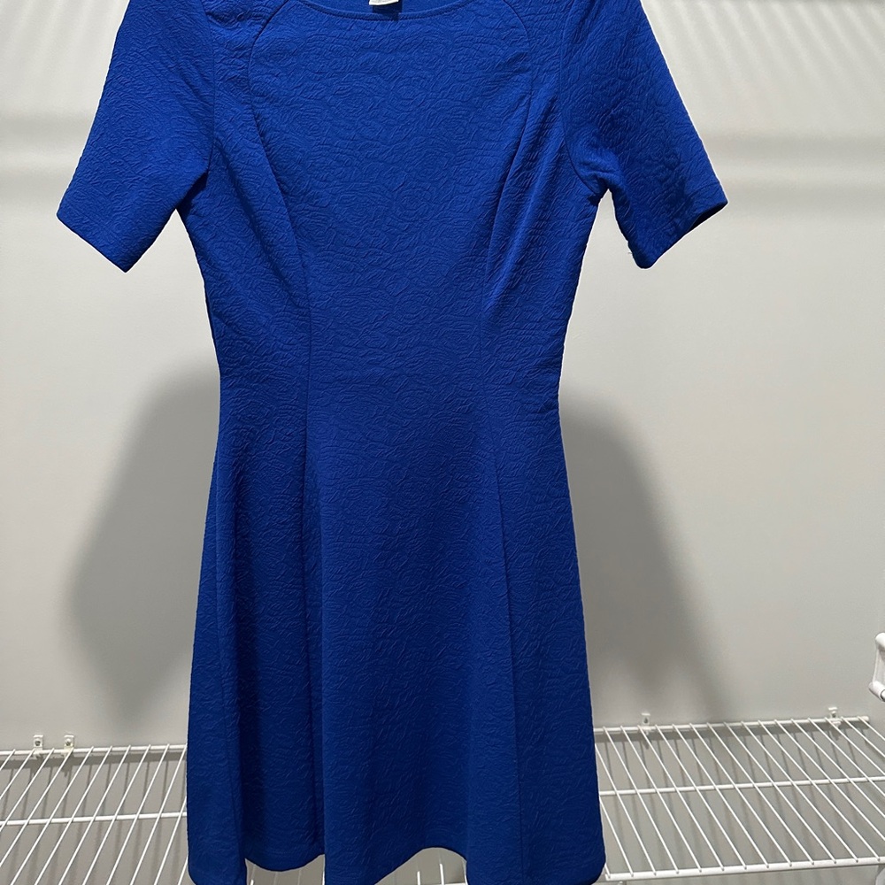 Elegant Blue Women's Dress